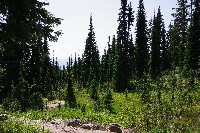 IMGP4459.JPG IMGP4459.JPG