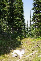 IMGP4461.JPG IMGP4461.JPG