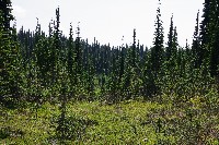 IMGP4462.JPG IMGP4462.JPG