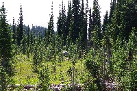 IMGP4463.JPG IMGP4463.JPG