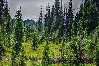 IMGP4464.JPG IMGP4464.JPG