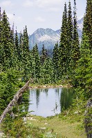 IMGP4465.JPG IMGP4465.JPG