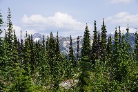 IMGP4466.JPG IMGP4466.JPG