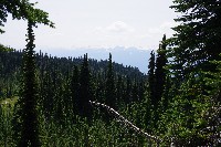 IMGP4467.JPG IMGP4467.JPG