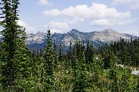 IMGP4468.JPG IMGP4468.JPG