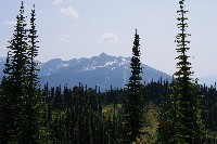 IMGP4469.JPG IMGP4469.JPG