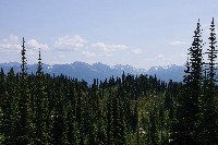 IMGP4470.JPG IMGP4470.JPG