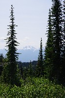 IMGP4474.JPG IMGP4474.JPG