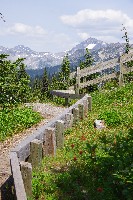 IMGP4476.JPG IMGP4476.JPG