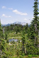 IMGP4486.JPG IMGP4486.JPG