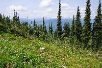 IMGP4487.JPG IMGP4487.JPG