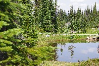 IMGP4489.JPG IMGP4489.JPG