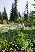 IMGP4490.JPG IMGP4490.JPG