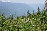 IMGP4491.JPG IMGP4491.JPG