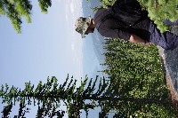 IMGP4492.JPG IMGP4492.JPG