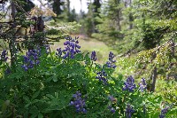 IMGP4510.JPG IMGP4510.JPG