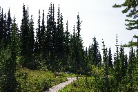 IMGP4511.JPG IMGP4511.JPG