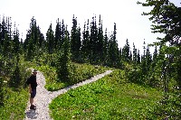 IMGP4512.JPG IMGP4512.JPG