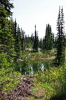 IMGP4513.JPG IMGP4513.JPG