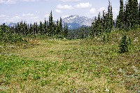 IMGP4514.JPG IMGP4514.JPG