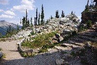 IMGP4515.JPG IMGP4515.JPG