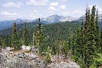 IMGP4519.JPG IMGP4519.JPG