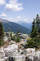 IMGP4521.JPG IMGP4521.JPG