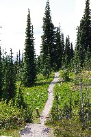 IMGP4522.JPG IMGP4522.JPG