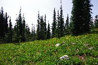 IMGP4523.JPG IMGP4523.JPG