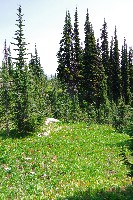 IMGP4524.JPG IMGP4524.JPG