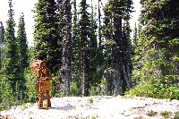 IMGP4525.JPG IMGP4525.JPG