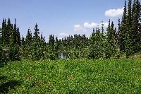 IMGP4528.JPG IMGP4528.JPG