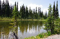 IMGP4529.JPG IMGP4529.JPG