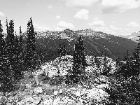 IMG_20180725_140906-EFFECTS.jpg IMG_20180725_140906-EFFECTS.jpg