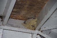 IMGP4560.JPG IMGP4560.JPG