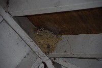 IMGP4563.JPG IMGP4563.JPG