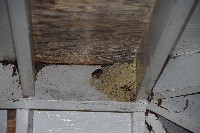 IMGP4564.JPG IMGP4564.JPG