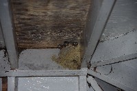 IMGP4567.JPG IMGP4567.JPG