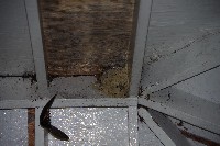 IMGP4568.JPG IMGP4568.JPG