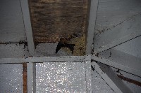 IMGP4569.JPG IMGP4569.JPG