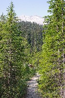 IMGP4576.JPG IMGP4576.JPG