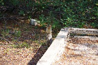 IMGP4577.JPG IMGP4577.JPG