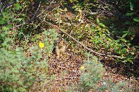 IMGP4578.JPG IMGP4578.JPG