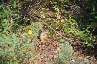 IMGP4579.JPG IMGP4579.JPG