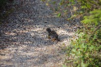 IMGP4580.JPG IMGP4580.JPG