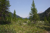 IMGP4584.JPG IMGP4584.JPG