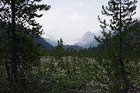 IMGP4650.JPG IMGP4650.JPG