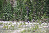 IMGP4651.JPG IMGP4651.JPG