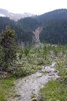 IMGP4652.JPG IMGP4652.JPG