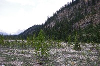 IMGP4654.JPG IMGP4654.JPG